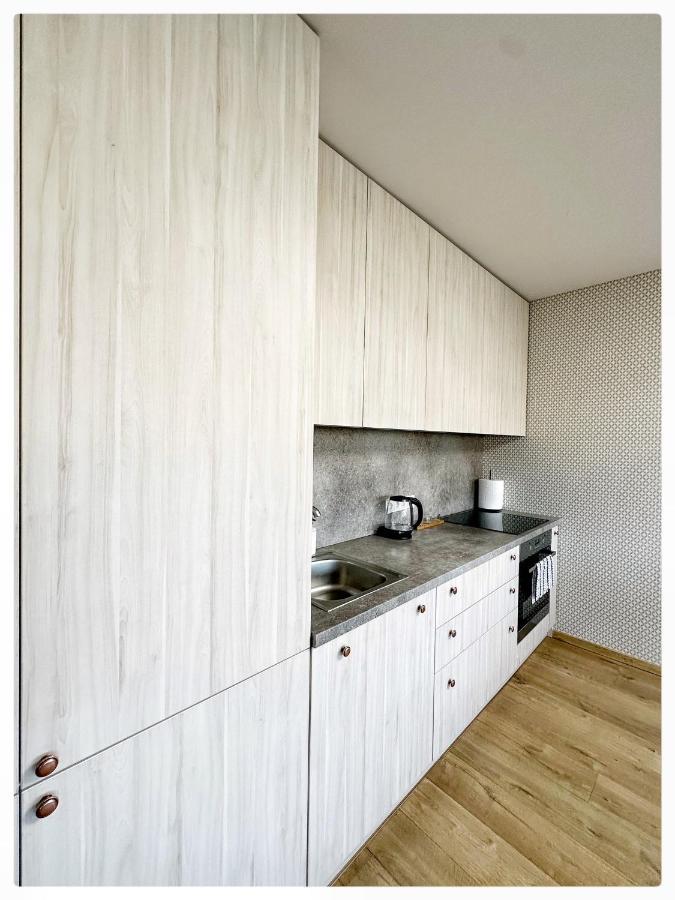 Apartaments In The City Centre Kaunas Kültér fotó