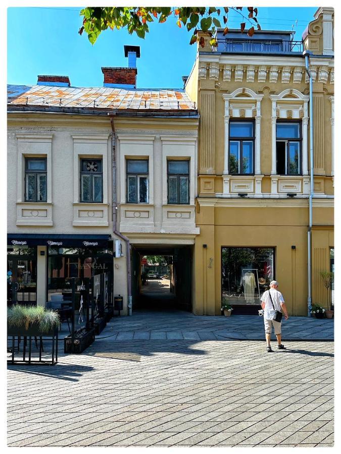 Apartaments In The City Centre Kaunas Kültér fotó